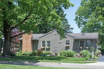 Trimming Trees Away From Roof and House