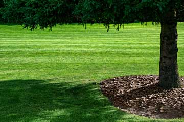 mulching around trees - mulching installation Dayton Ohio